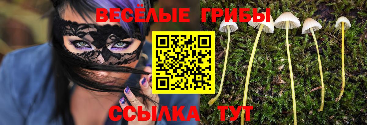 Рубцовск  где купить наркотик  Псилоцибиновые грибы Psilocybe  Вход с VPN  Псилоцибиновые грибы Cubensis 